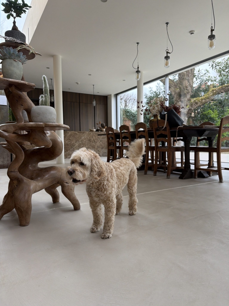 LPC Hardcrete Microcement Case Study – W4 London - image 7