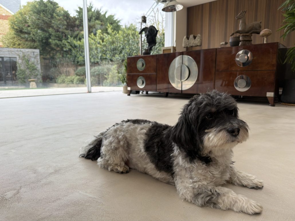 LPC Hardcrete Microcement Case Study – W4 London - image 8